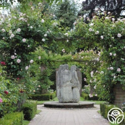 The Generous Gardener™ -RoseLuxe Shop The Generous Gardener 256