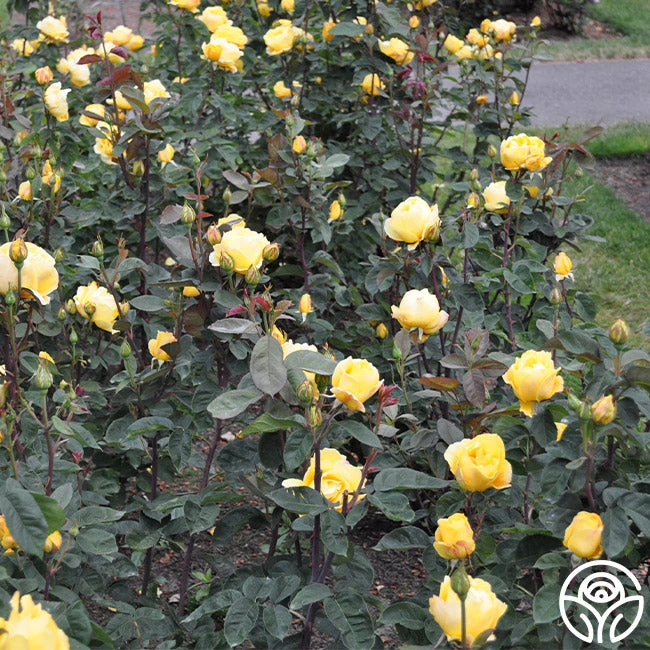 Ch-Ching! 8 Ch-Ching! - Image 8