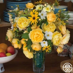 Charles Darwin® 8 Charles Darwin® -RoseLuxe Shop charles darwin 4 5