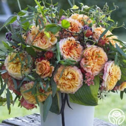 Front Page -RoseLuxe Shop crazy love 1 1