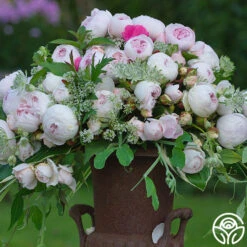 Best Seller -RoseLuxe Shop earth angel 7