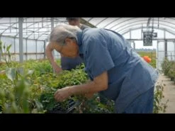 Robert Bruce 21 Robert Bruce -RoseLuxe Shop hqdefault 3 5