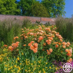 Lady Of Shalott -RoseLuxe Shop lady of shalott 7 1