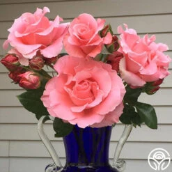 Paris De Yves St. Laurent ™ 23 Paris De Yves St. Laurent ™ -RoseLuxe Shop paris de yves st. laurent 2